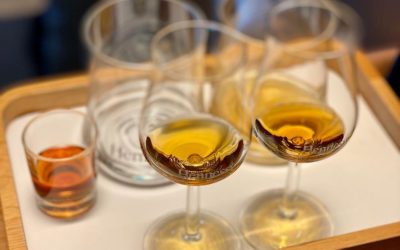 Top 3 Cognac Touren & Verkostungen