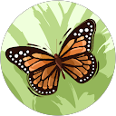 Adriana Bates profile picture